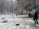 Neve e pioggia, Italia nel gelo del weekend in arrivo