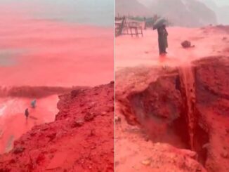 Hormuz, mare rosso sangue: spettacolo naturale incanta il web