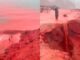 Hormuz, mare rosso sangue: spettacolo naturale incanta il web