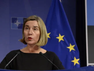 Mogherini rilasciata, Ue divisa su immunità Pd