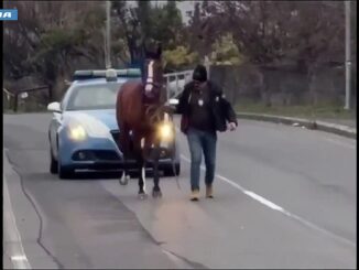 Droni individuano corsa clandestina [Video] di cavalli dentro Catania