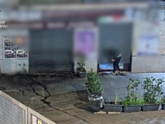 Criminalità organizzata smantellata: maxi blitz contro rete di furti