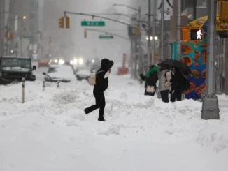 Tempesta artica negli USA: sette morti e milioni al gelo