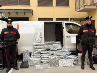 Maxi sequestro di Marijuana, 66 kg nascosti in casse