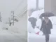 Maltempo Giappone: strage per la neve e allerta a Niigata