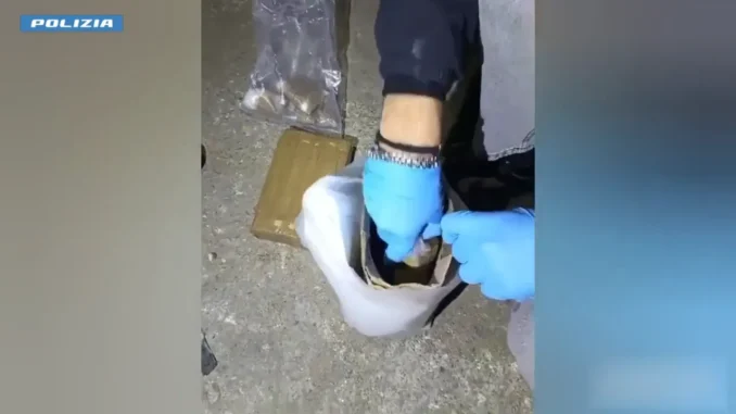 Torino: arsenale e 12 kg di droga nascosti in casa