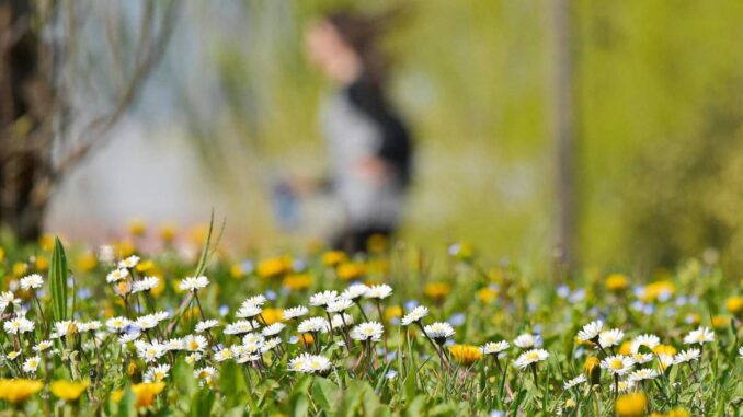 Primavera: l'equinozio anticipa la stagione e cambia data