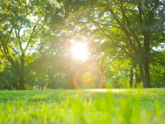Ribaltone meteo Pasqua sole e caldo fino a 25 gradi e Italia