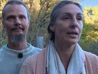 Traumi minori famiglia nel bosco urgente ripristino del nucleo
